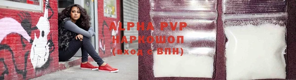 молекула духа Белоозёрский
