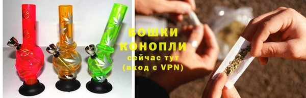 мяу мяу мука Белокуриха