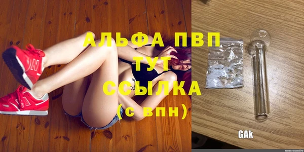 мяу мяу мука Белокуриха