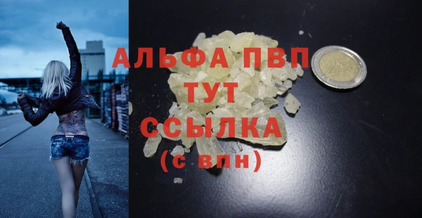 мяу мяу мука Белокуриха